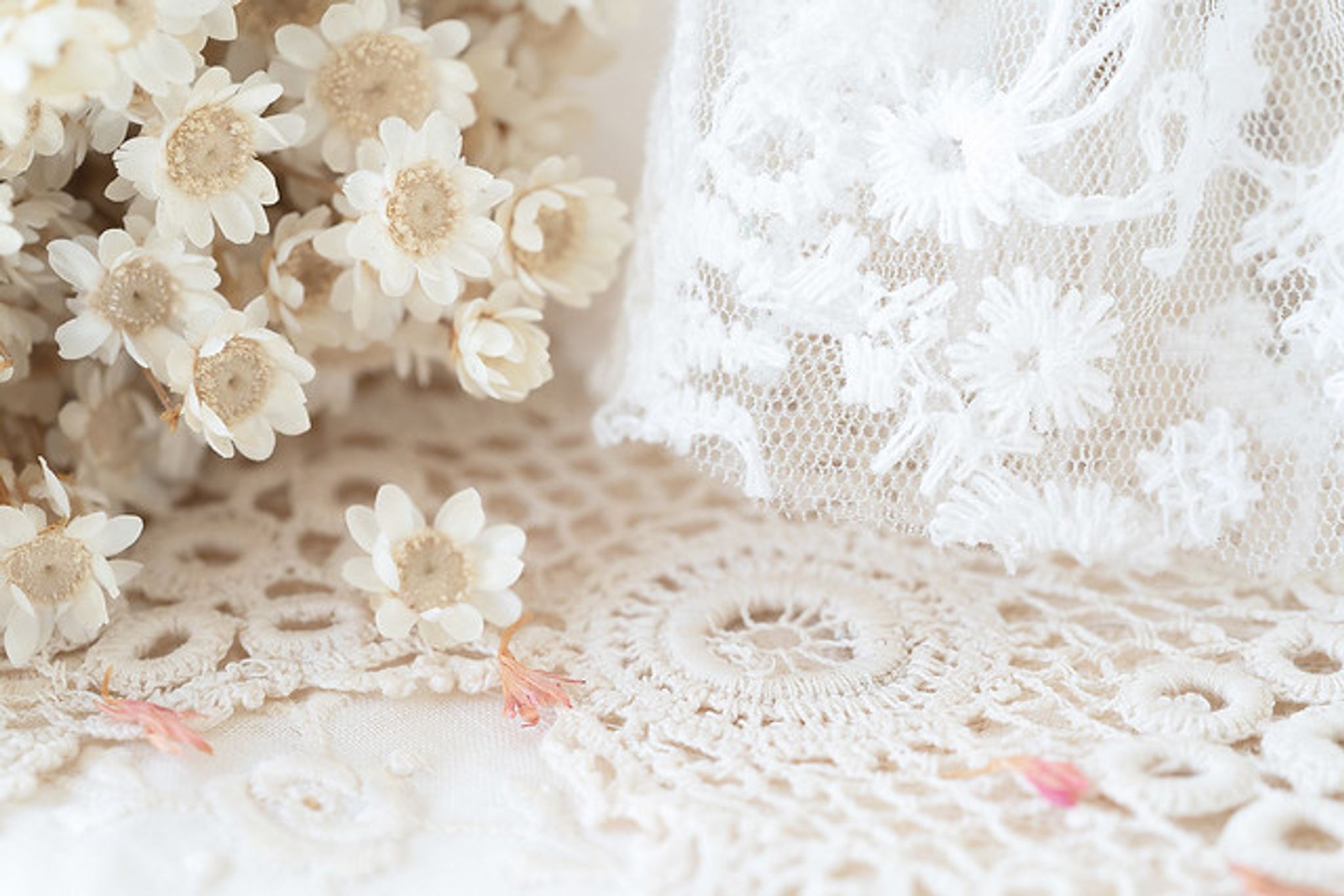 Cover for Bonnie Boyd's Obituary