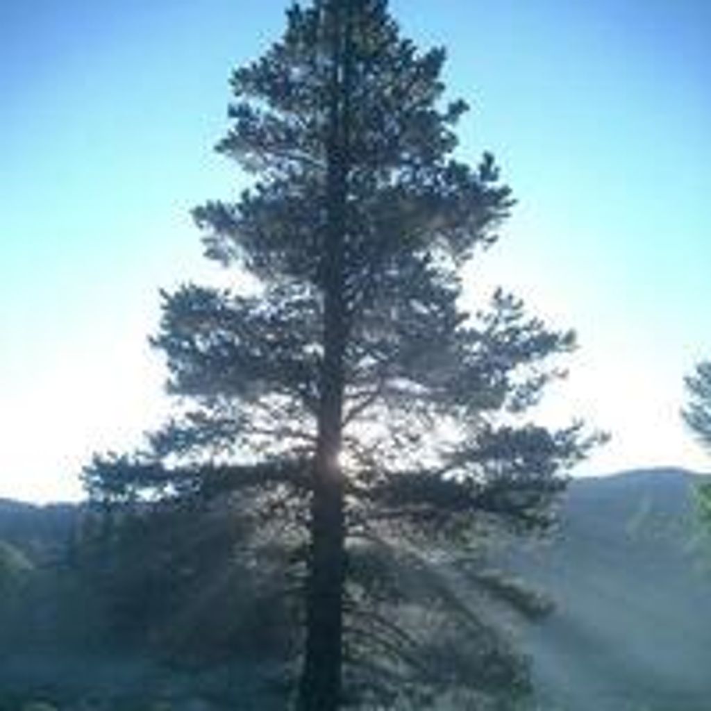 Donald  Kent Brookhouse Profile Photo