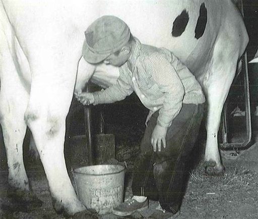 Evelyn  C. Freiheit photo gallery thumbnail 6 of 88
