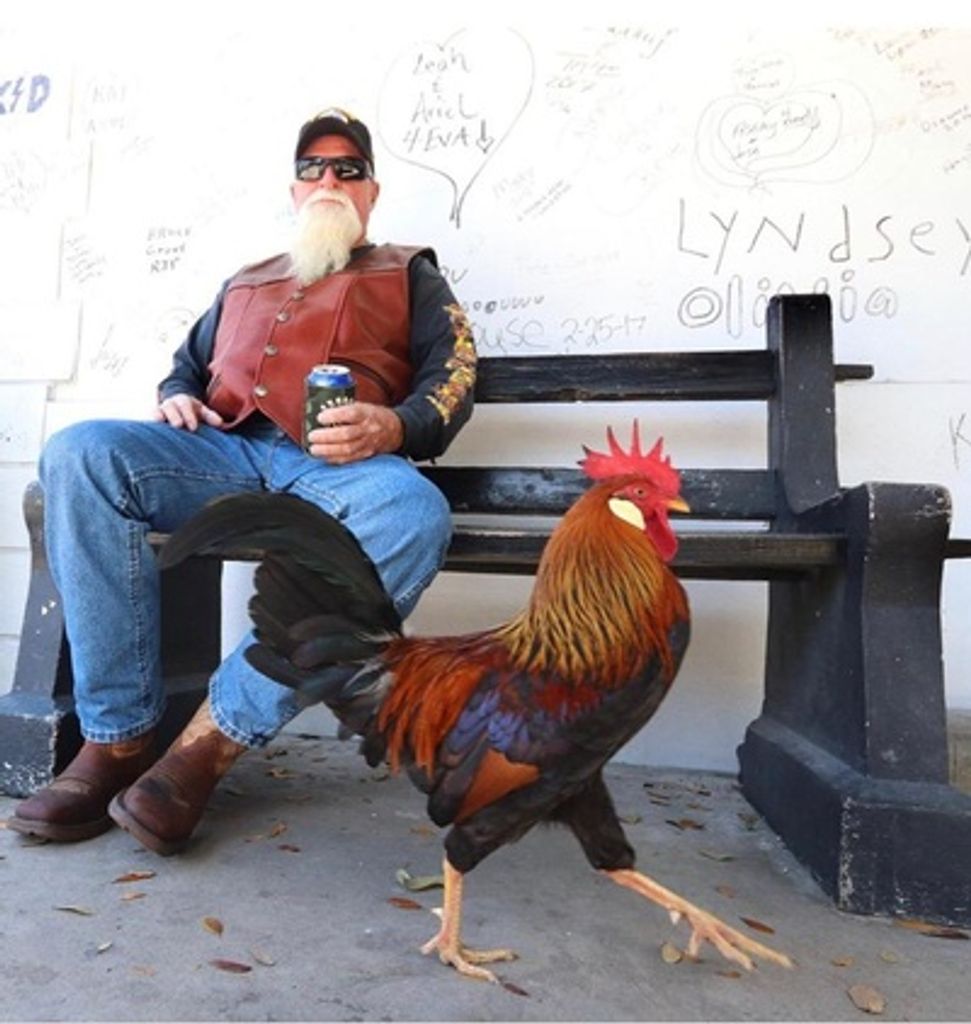 Michael L Metts (Rooster) Profile Photo