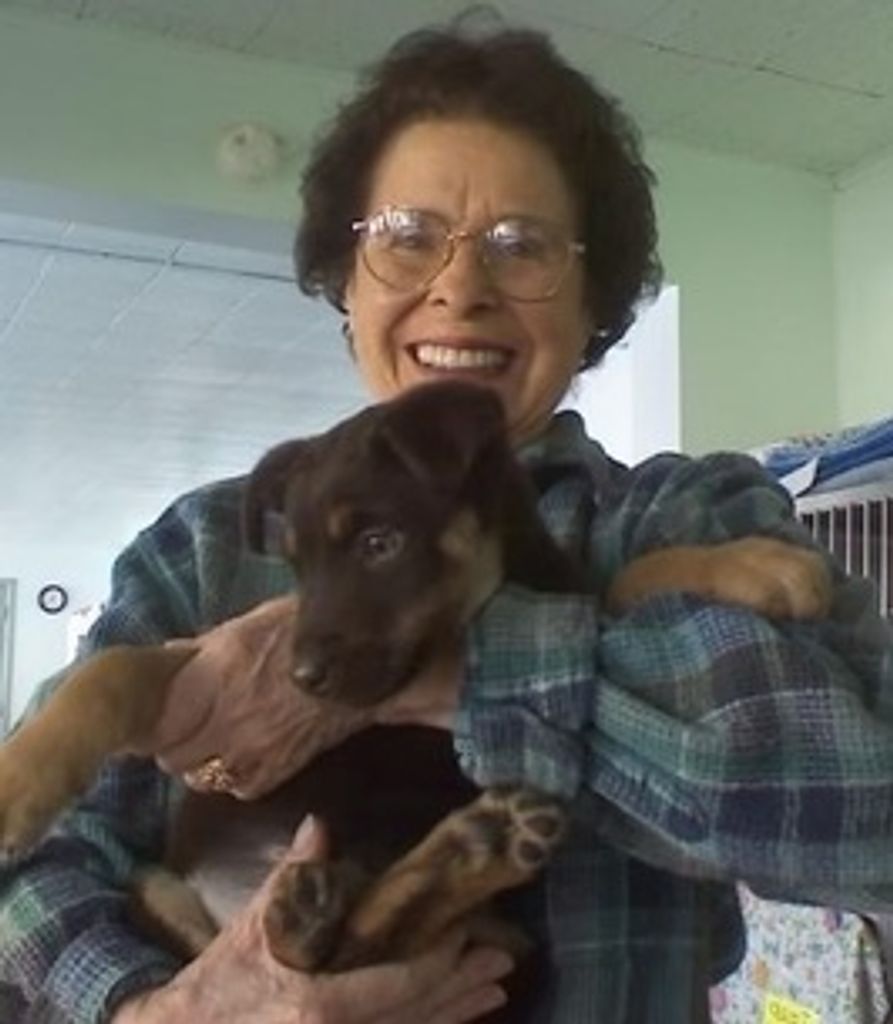Donna Kulich Profile Photo