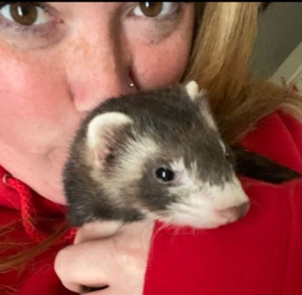 Meeko "Meeko Man" Tanner-Knotts