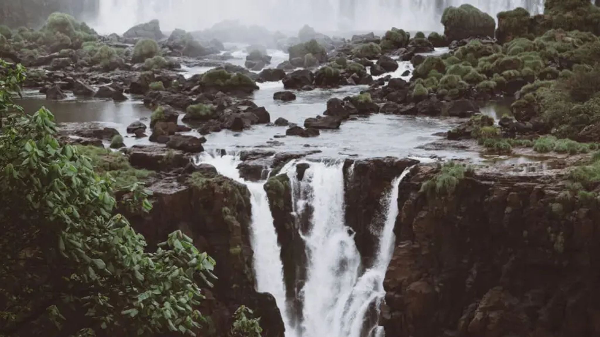 Cover for James Corder's Obituary