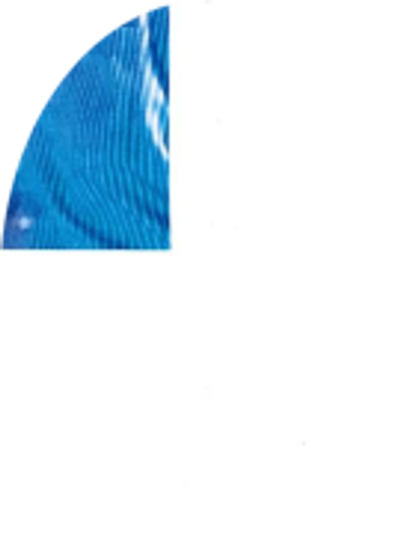 Barbara Arcuri Profile Photo