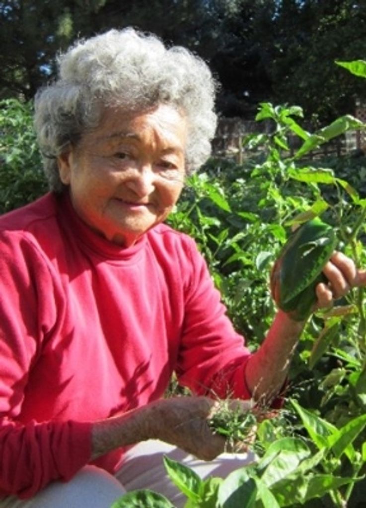 Diane Kikueye Shigeta Profile Photo