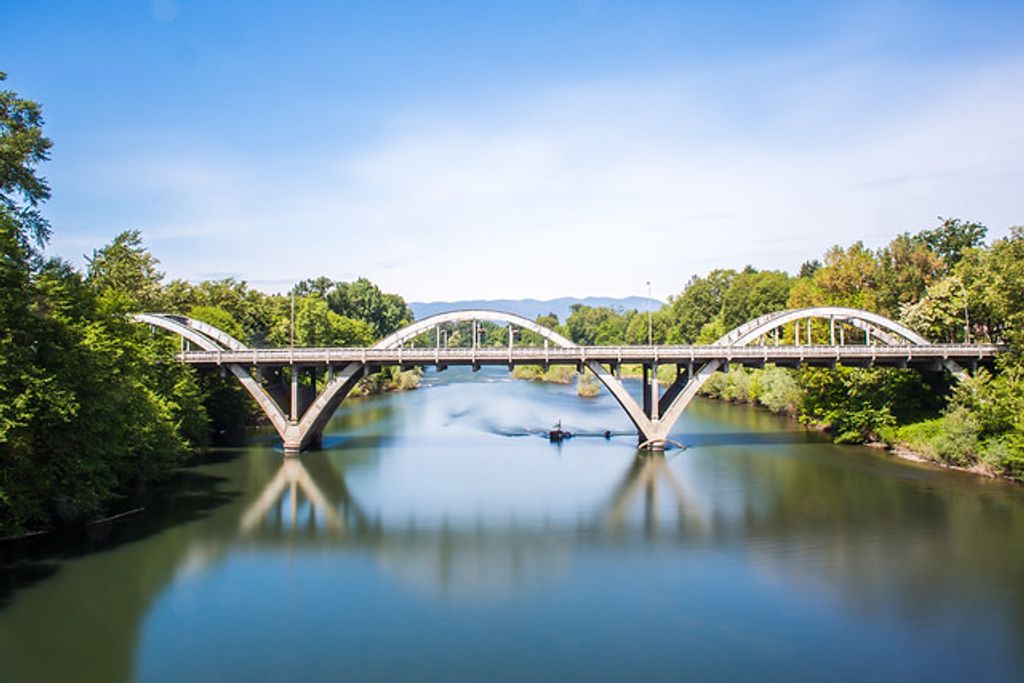 Allen Mitchel Mise Profile Photo