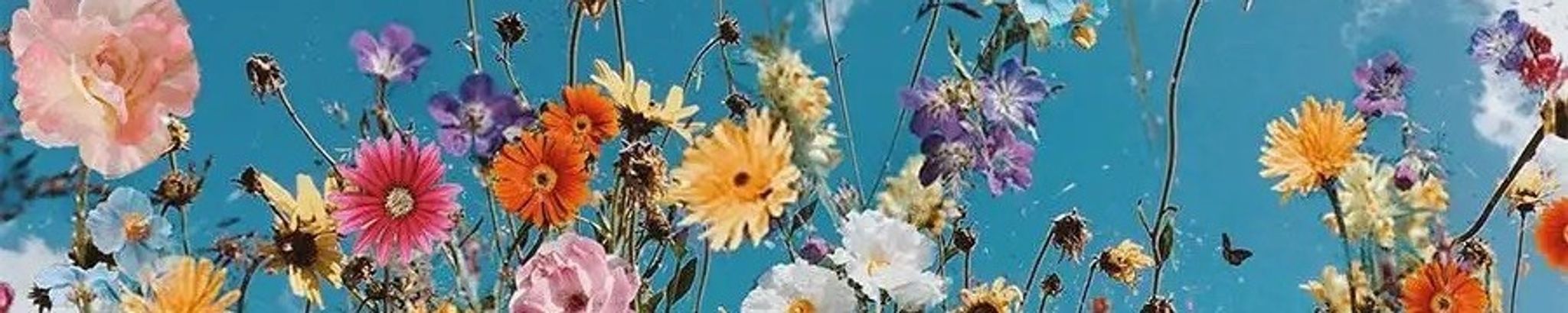 Cover photo for Tyna Box's Obituary