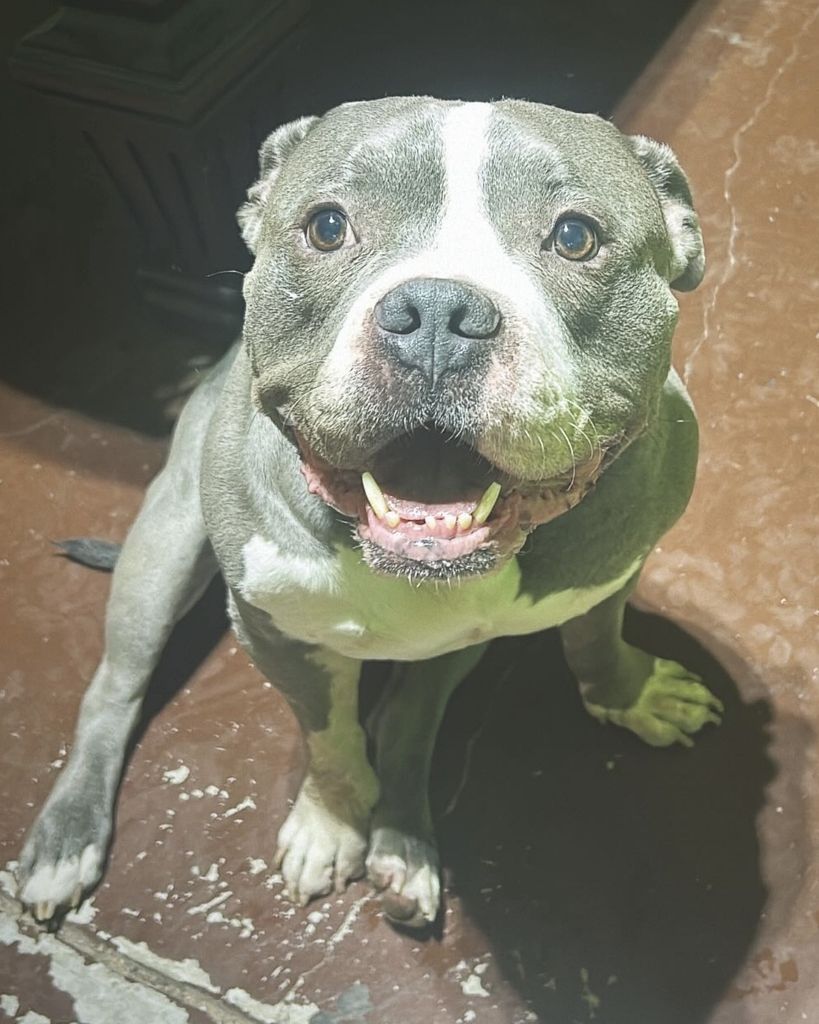 Kilo Ramirez Profile Photo