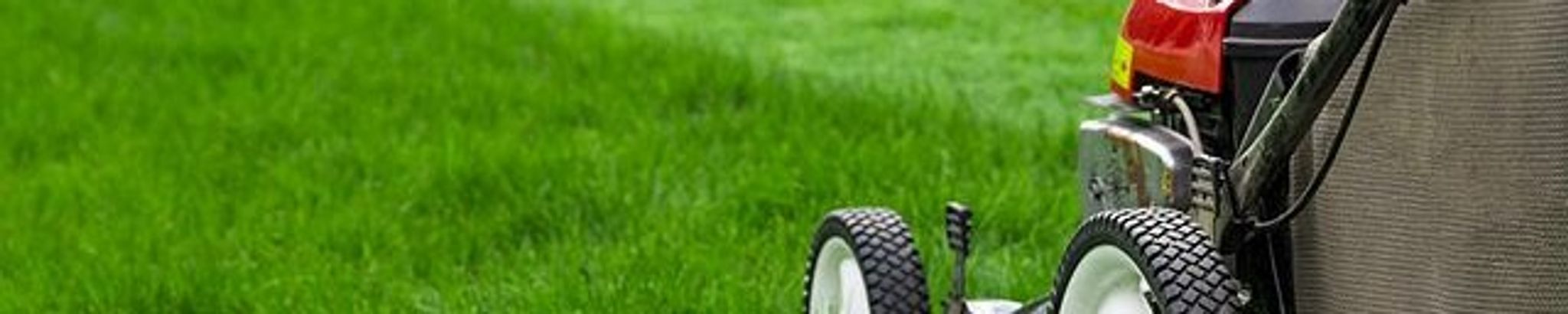 Cover for William "Will" Everett Meador's Obituary