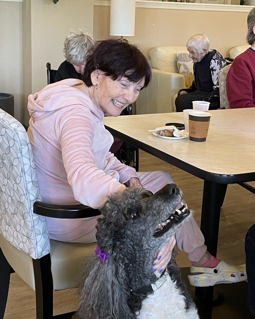 Patricia "Patsy" Frances Schreuer