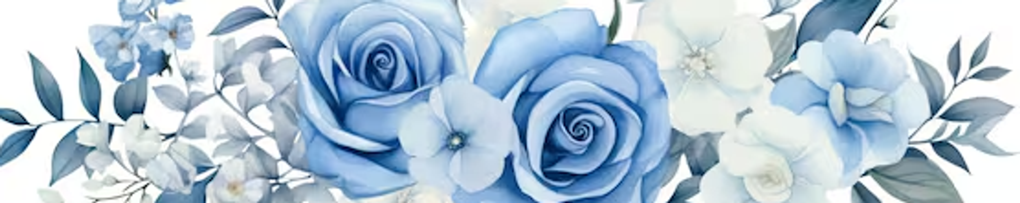 Cover for Julia Salcido Nathanson's Obituary