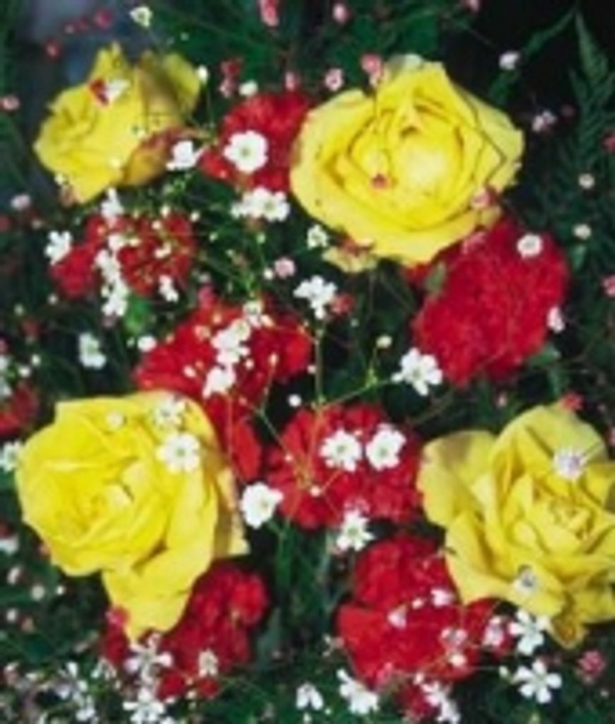 Edith Verlee Templeton