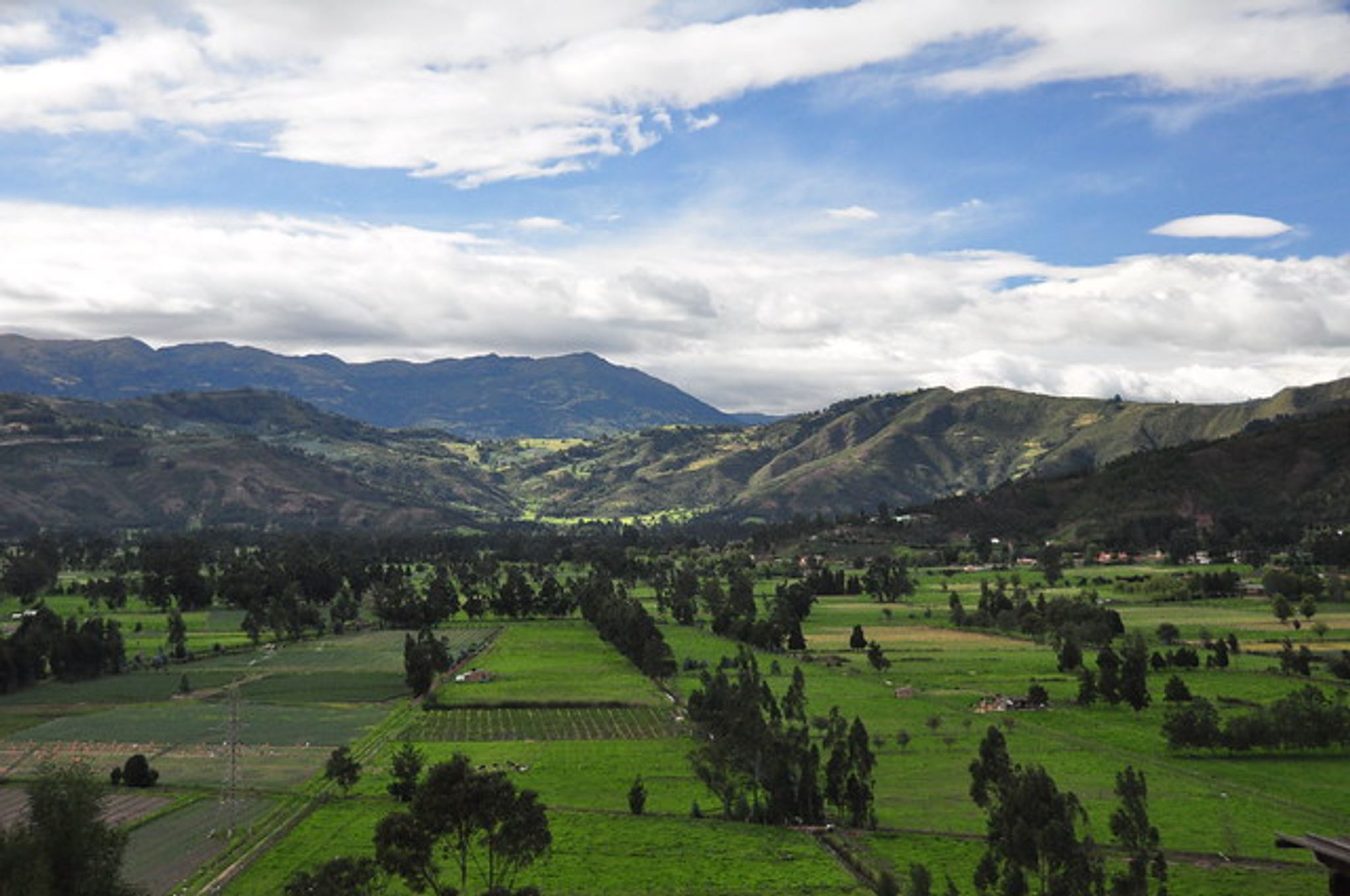 Cover for Jose G. Moreno's Obituary