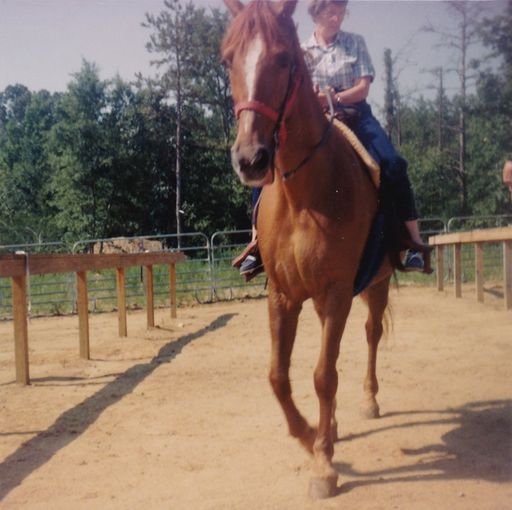 Maxine A. (Russell)  Land photo gallery thumbnail 14 of 42