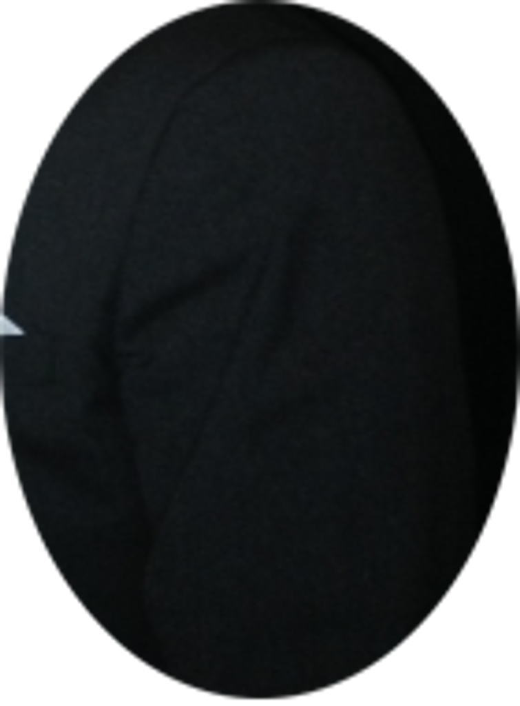Jesse Burges