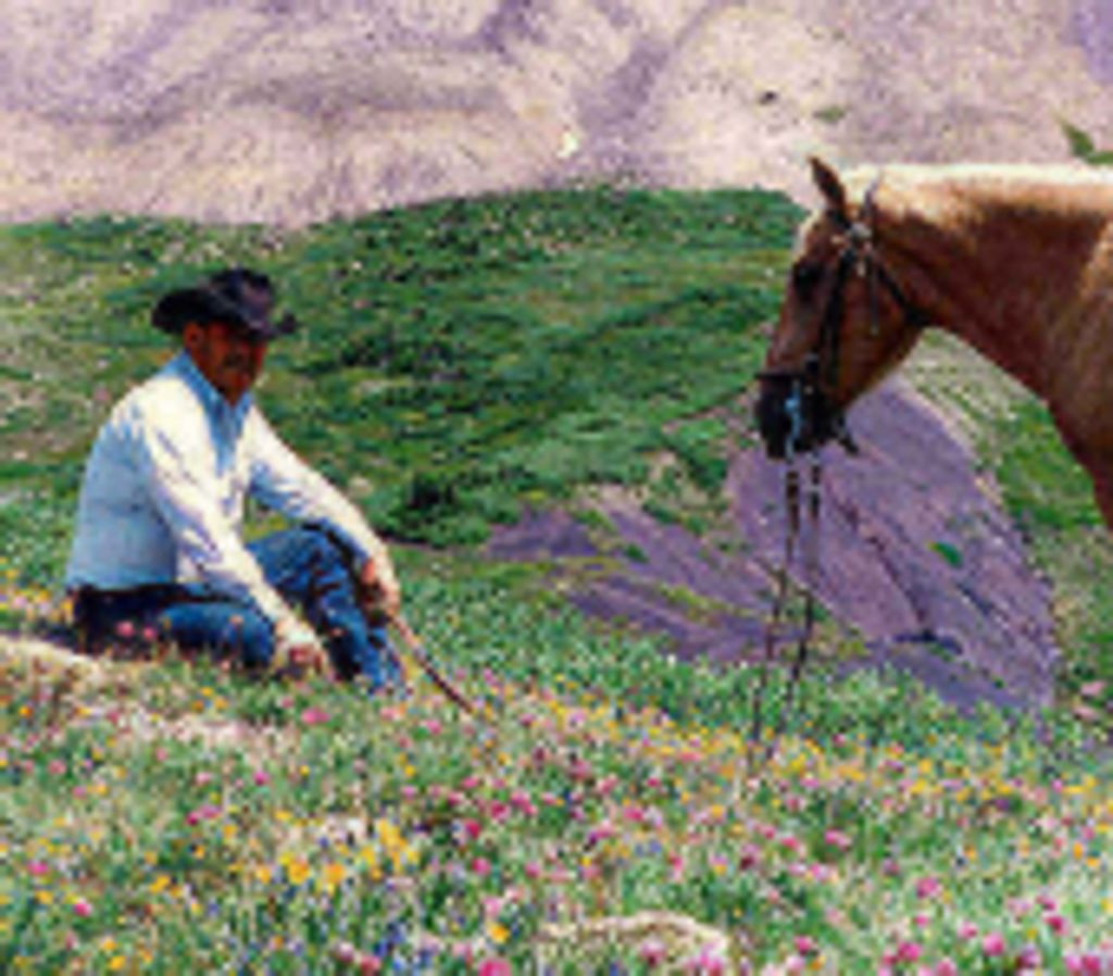 Don Gallegos