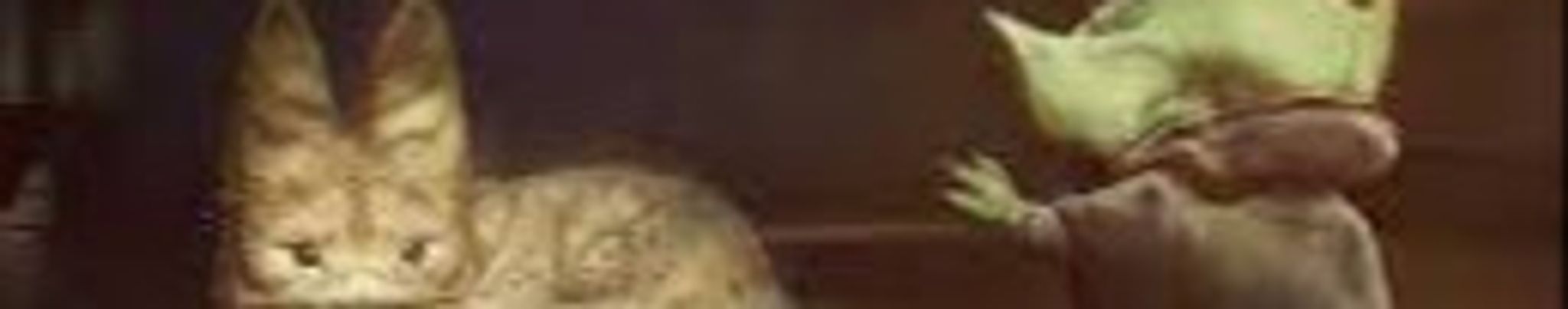 Cover for Jango Shay's Obituary