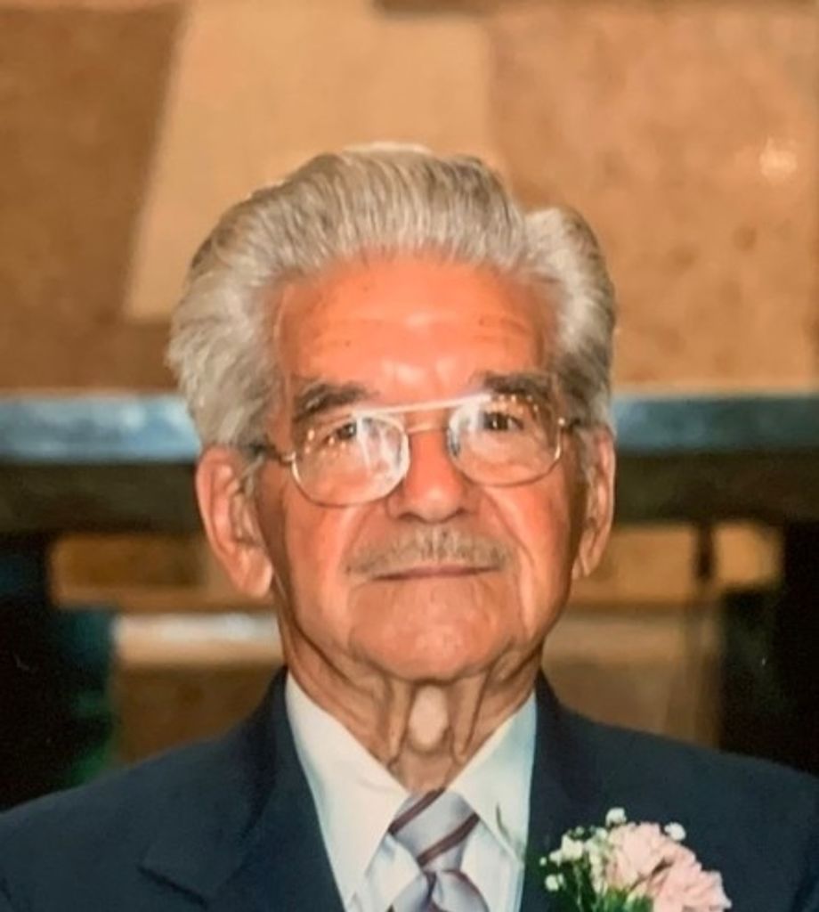 Patsy F. Ciccotelli Profile Photo