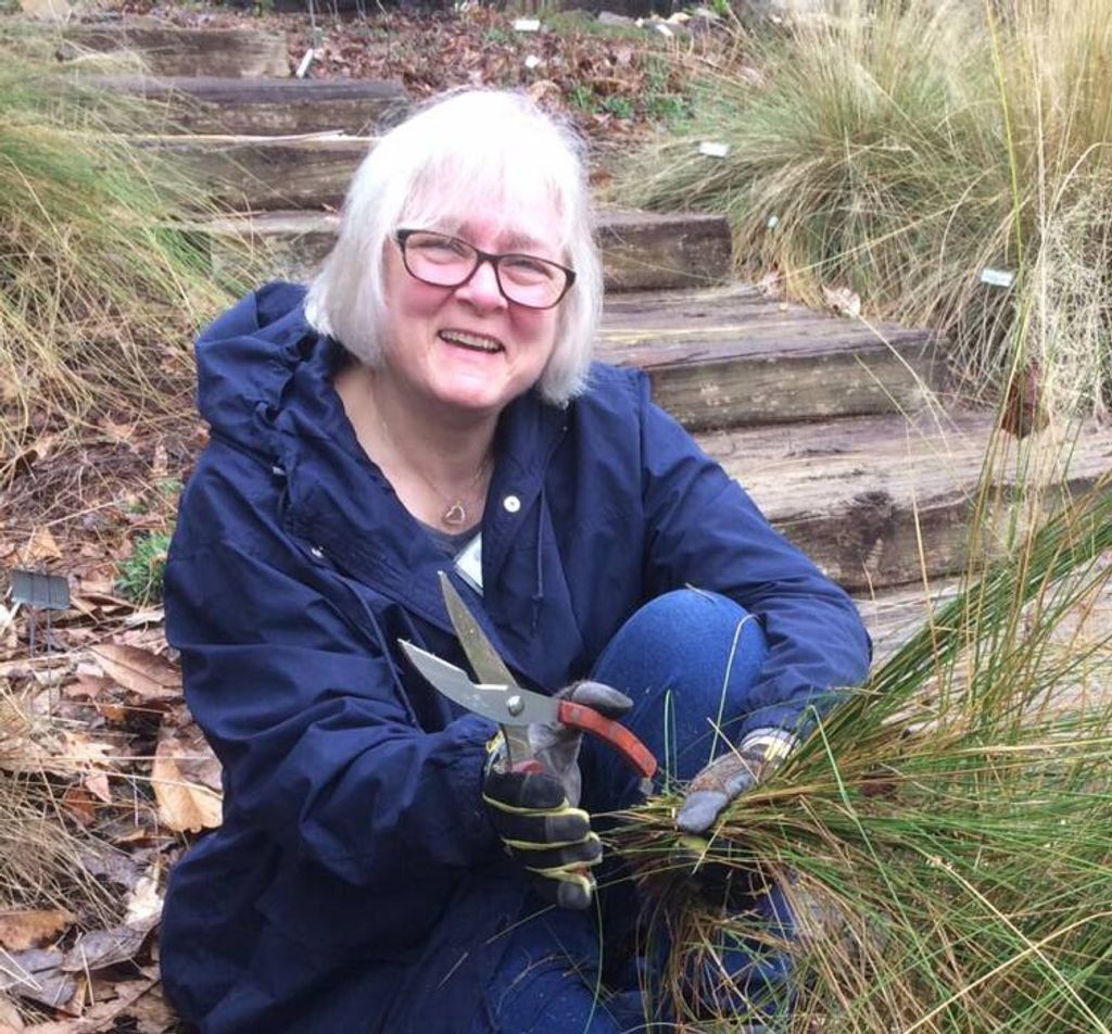Dianne Blaikie Profile Photo