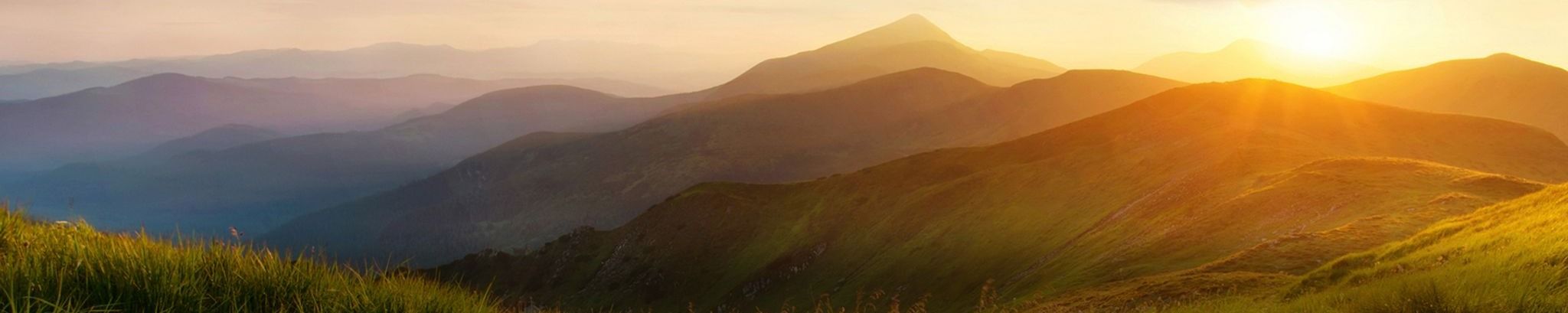 Cover for Lisa Ann Ponder's Obituary