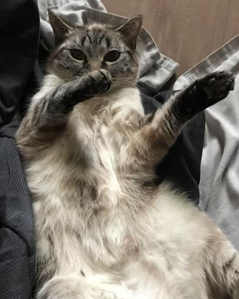 Nola Desjardins Profile Photo