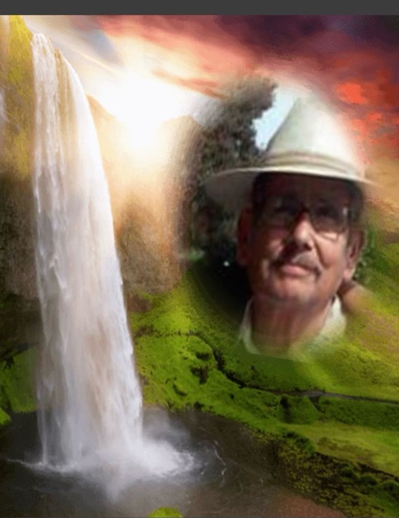 Roy P Rivas