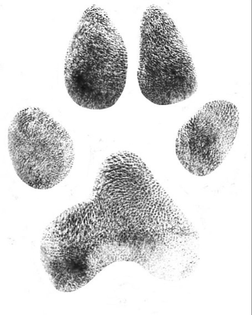 Rio Dewey Profile Photo