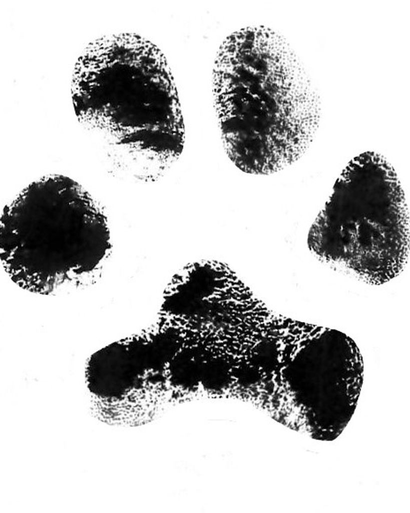 Lucy Yount Profile Photo