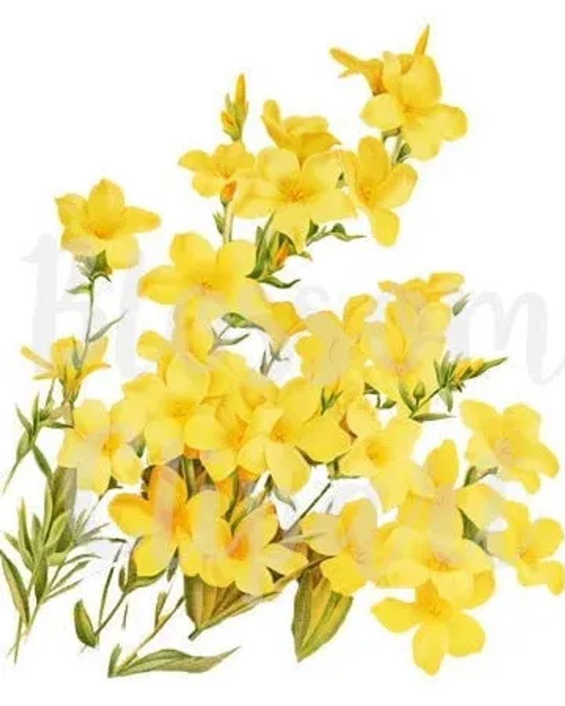 Willie G. Highsmith Profile Photo