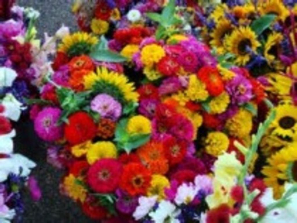 Gary Charles Smith Profile Photo