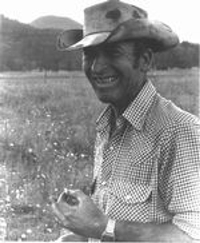Walter F. Brandis