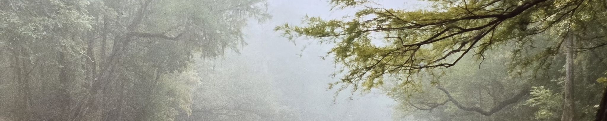 Cover for Donald Wallace's Obituary