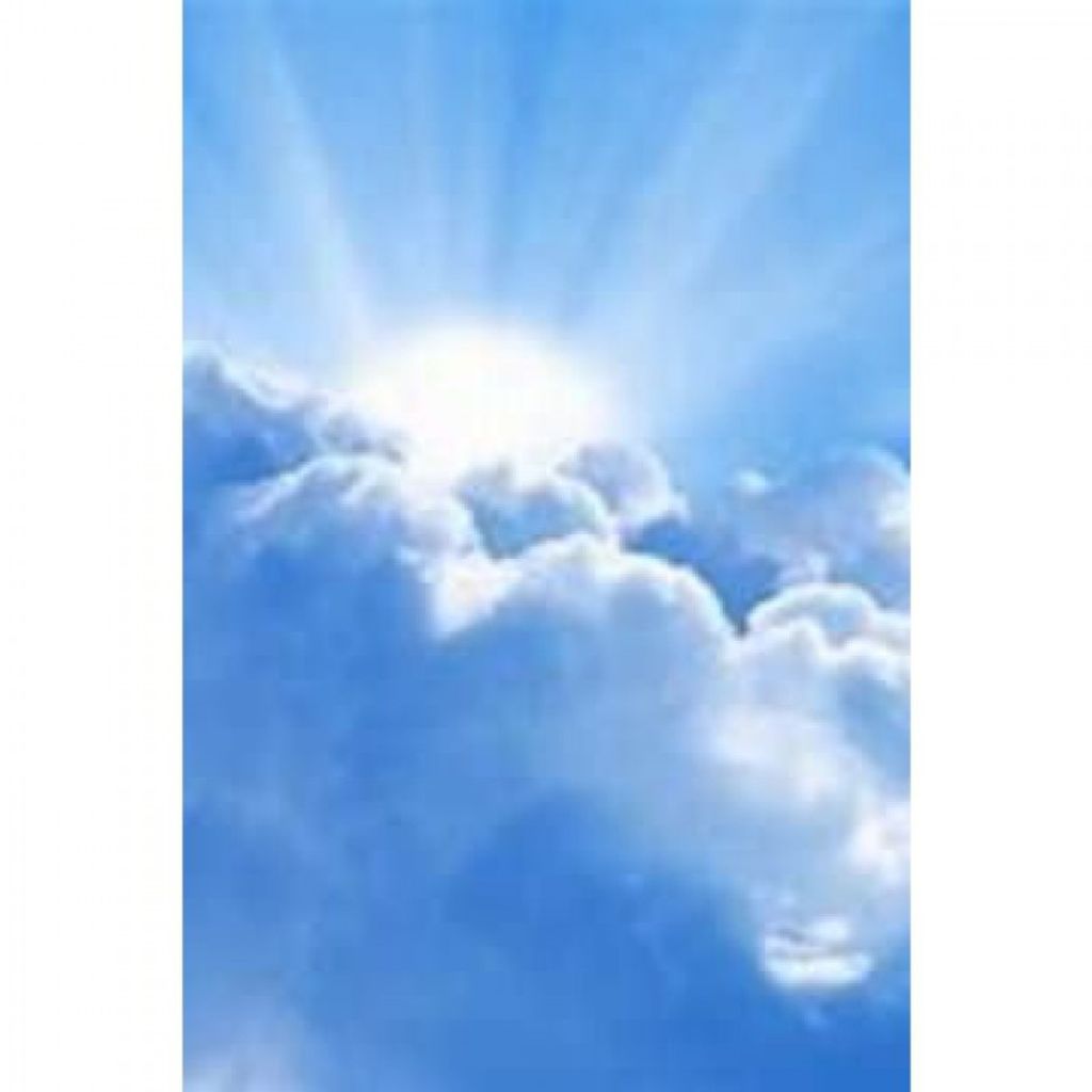 Fredericka Laucks Albert Profile Photo