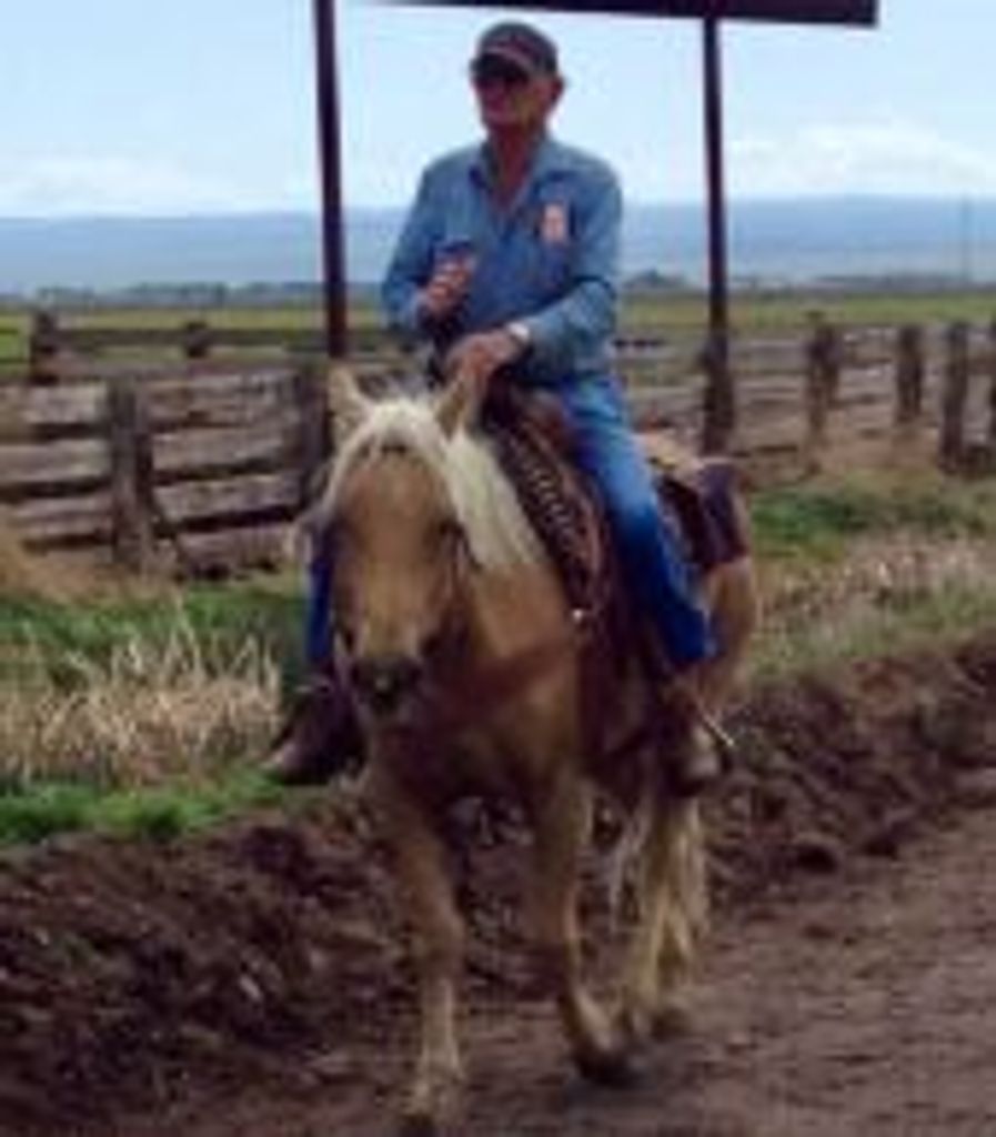 Donald G. Larsen Profile Photo