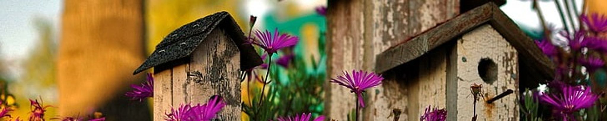 Cover photo for Mary Catherine Munns's Obituary