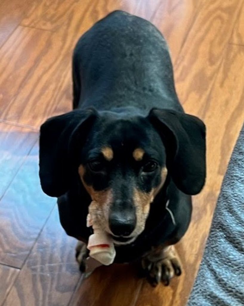 Belle Penick Profile Photo