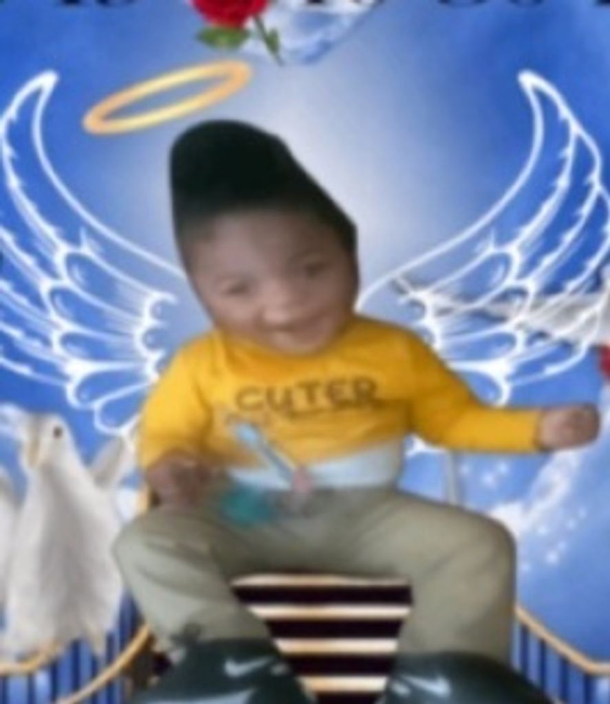 Baby King Gray