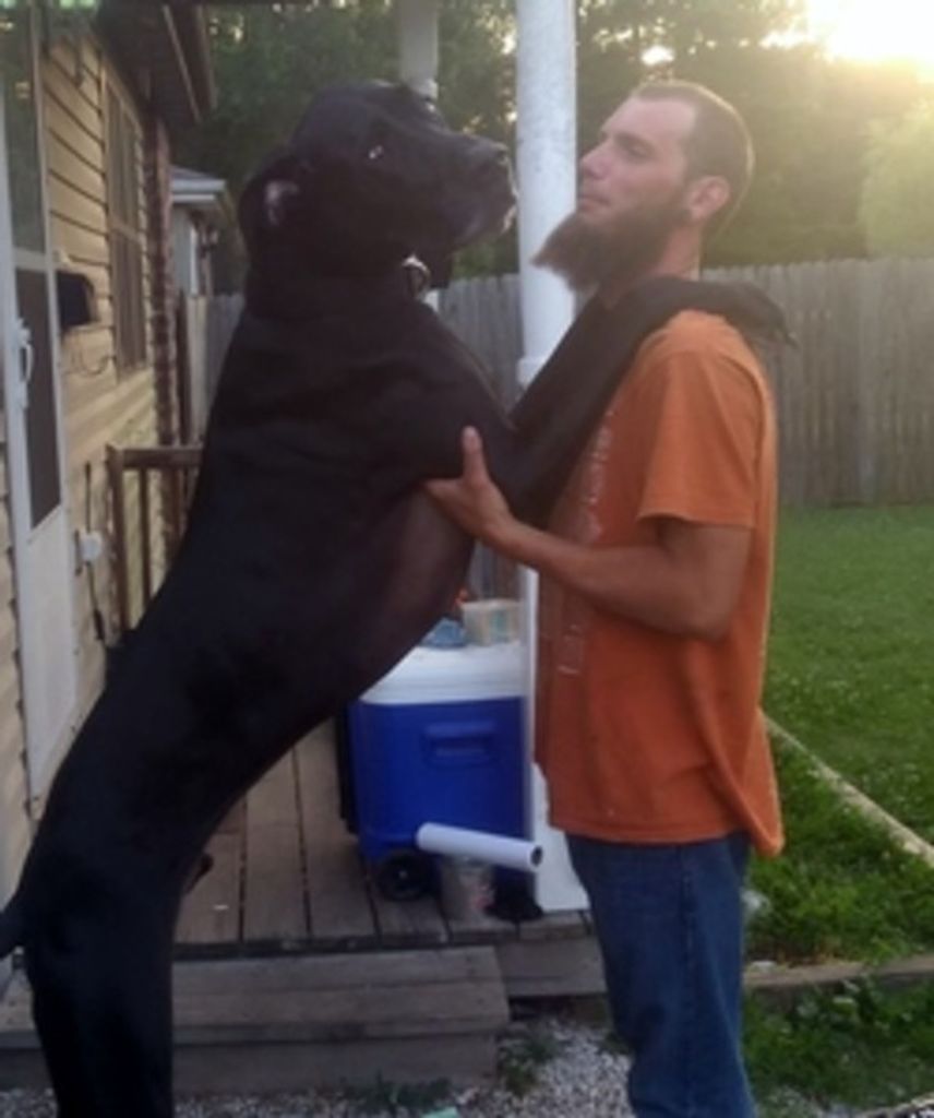 Thomas Jean Davidson