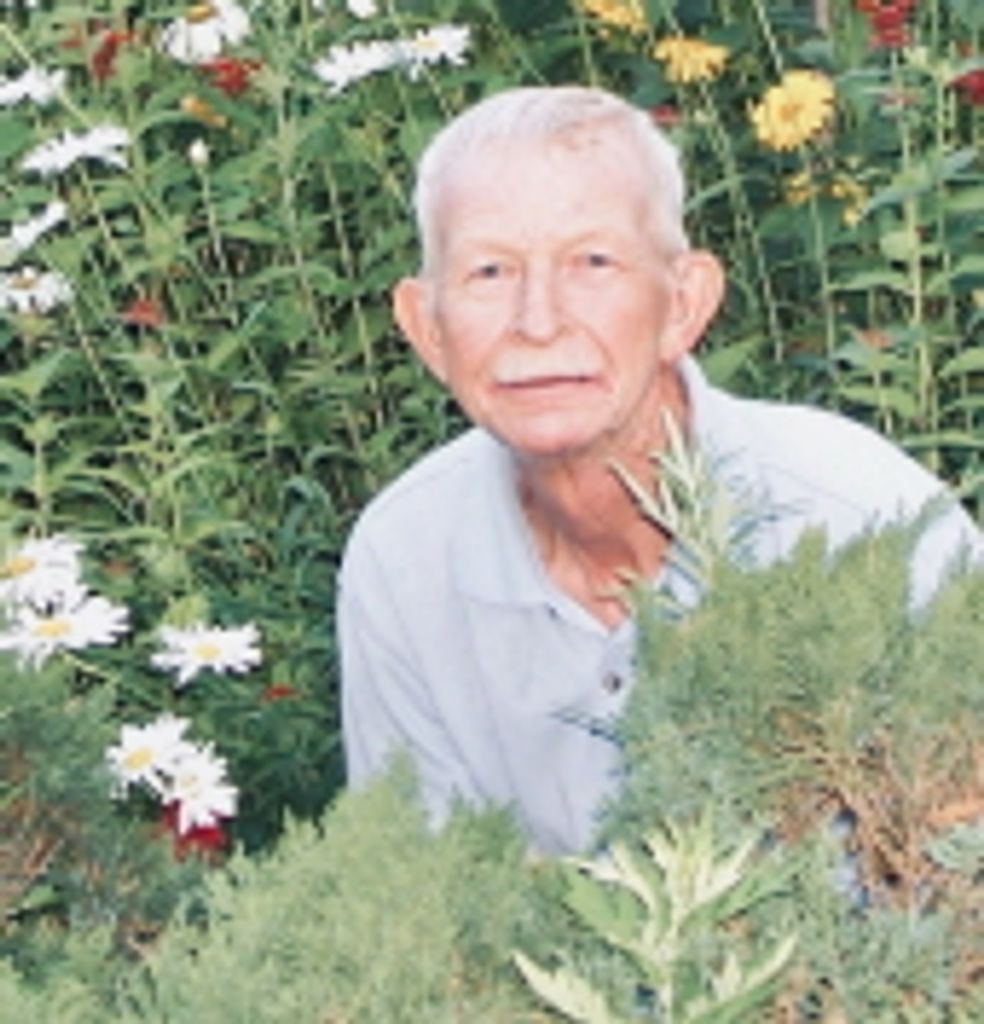 Norris Cordell Pipkins