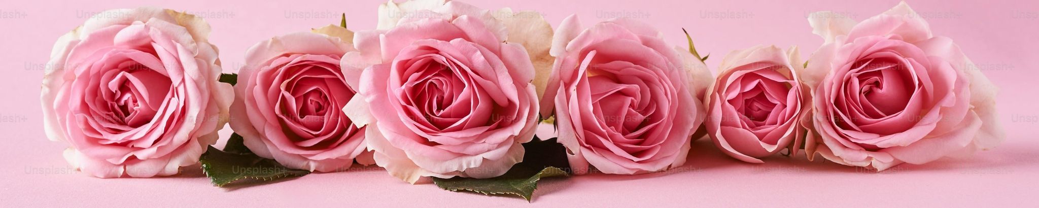 Cover photo for Vanessa NIcole Trujillo's Obituary