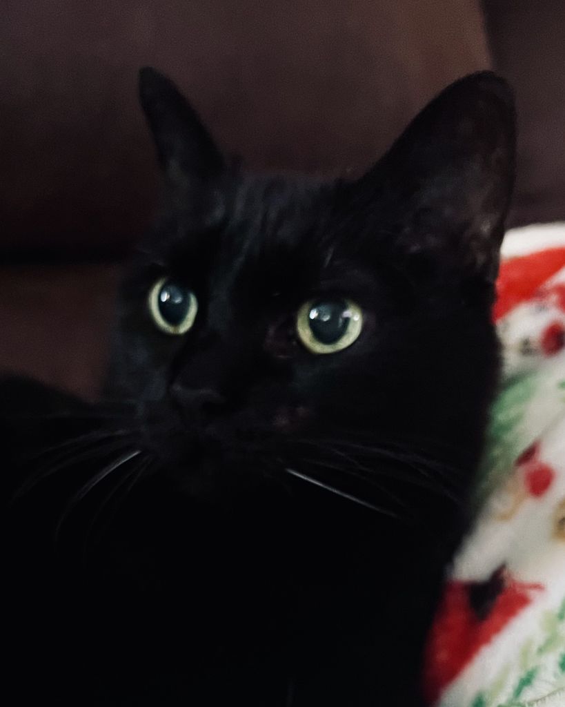 August Varnadore-Overcash Profile Photo