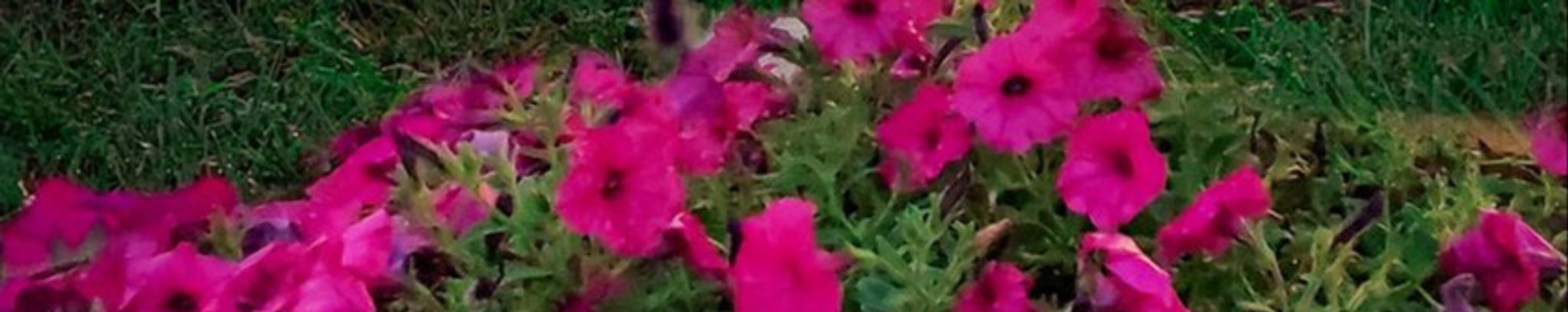 Cover photo for Jerry Neighbors's Obituary