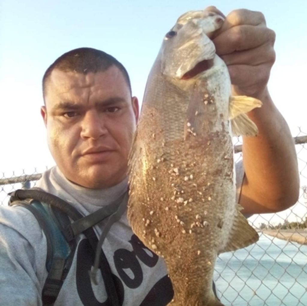 Mathew Pettit Profile Photo