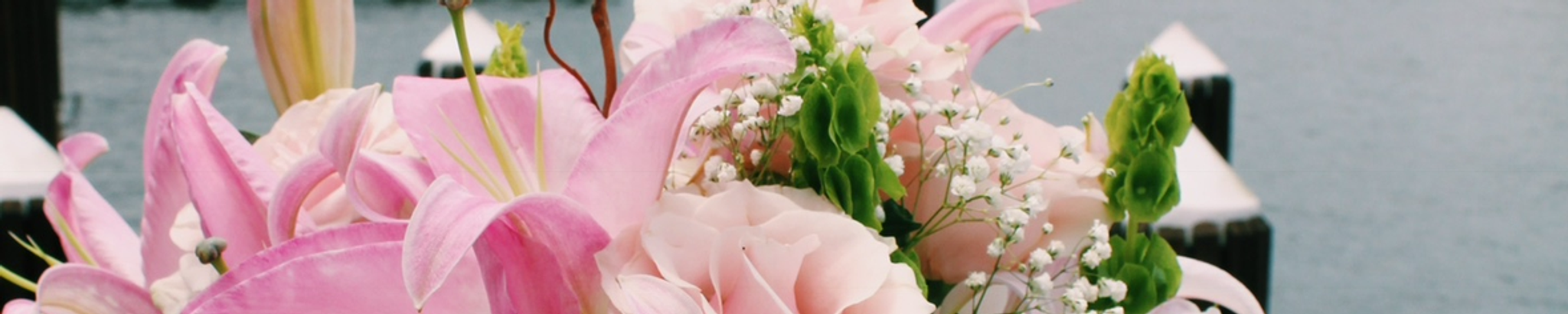 Cover for Lidia Susana Lucyk's Obituary