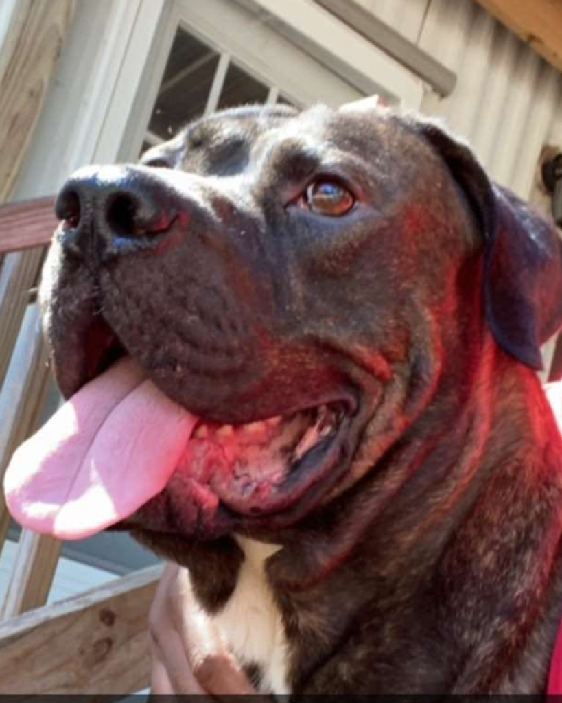 Smokey Watson Profile Photo