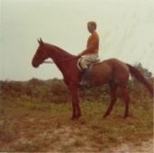 Henry Barclay Profile Photo