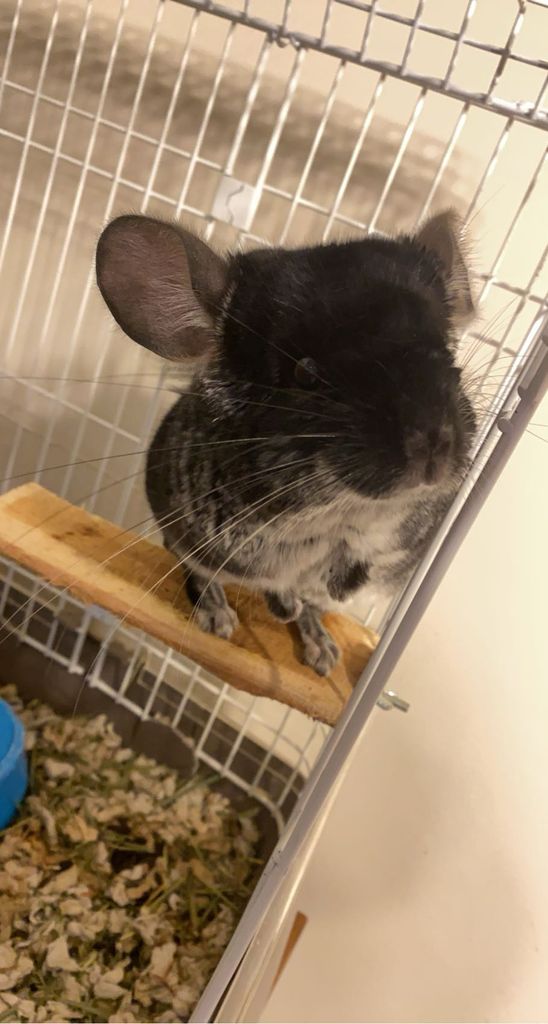 Buddy Profile Photo
