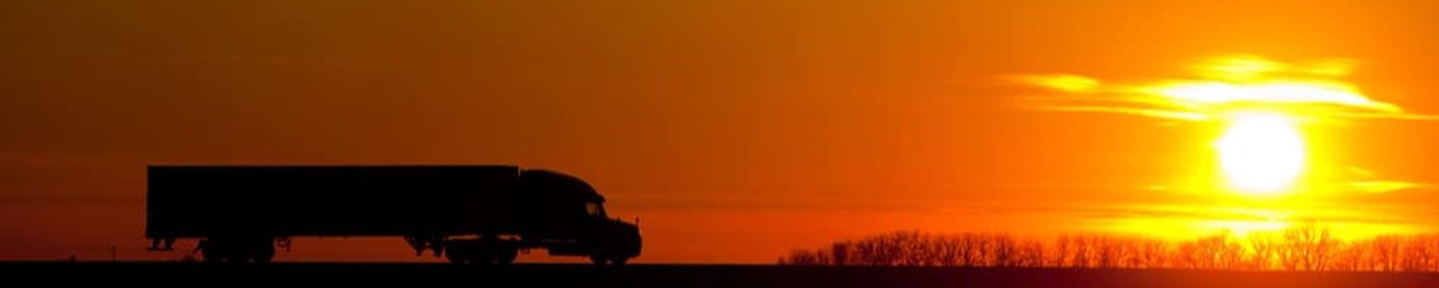 Cover for Gayle Gaddis's Obituary