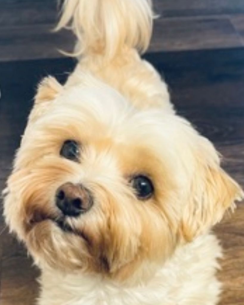 Frankie Berthiaume Profile Photo