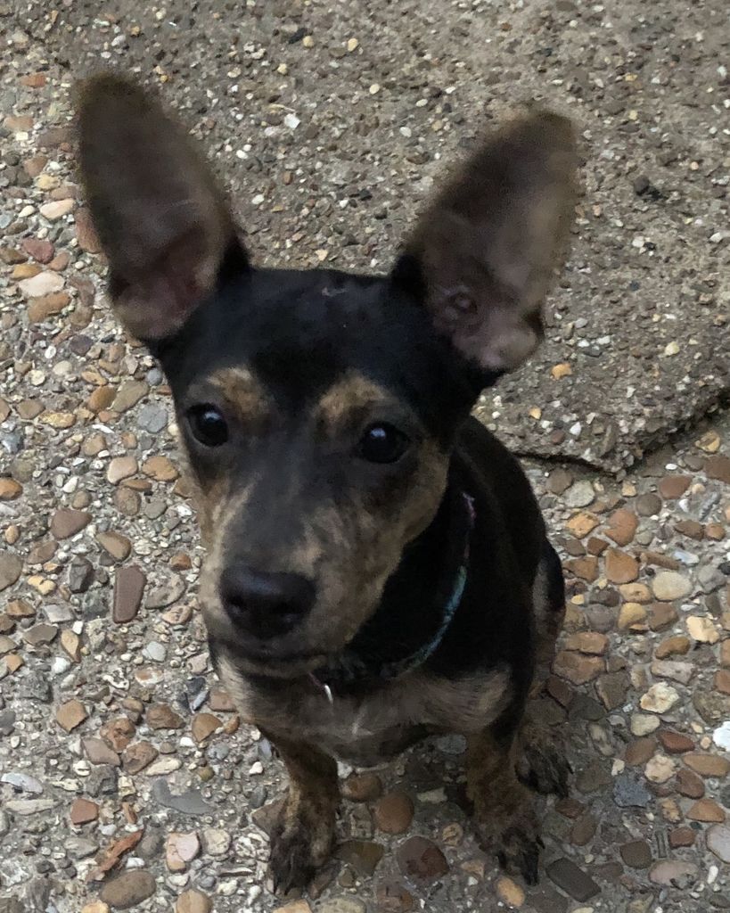 Ollie Orr Profile Photo